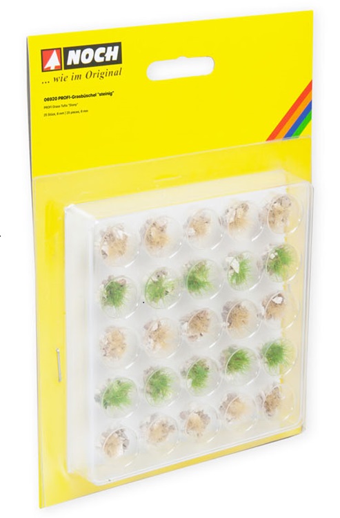 Touffes d'herbe avec rocailles blanches