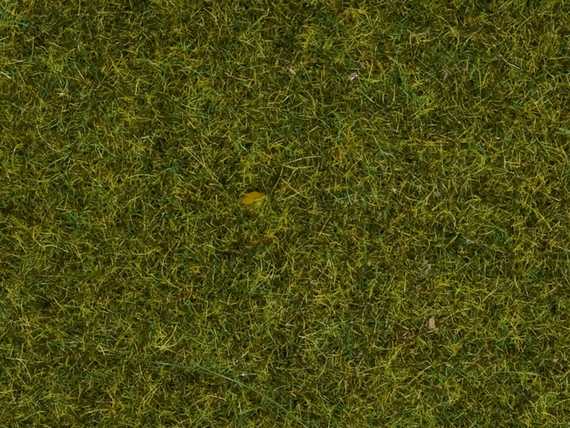 Herbe sauvage 09 mm - Vert prairie - Cliquez sur l'image pour la fermer