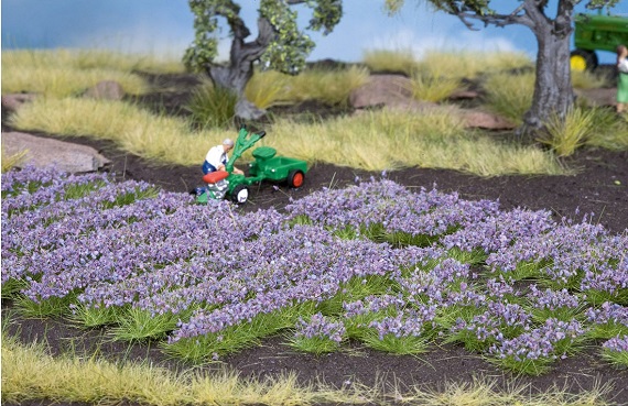 Touffes d'herbe - Lavande - Cliquez sur l'image pour la fermer